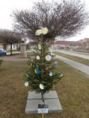 Zdobení vánočního stromku na návsi
